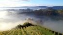 Potzinger Sekt Hommage 1860 Brut NV MethodeTraditionelle