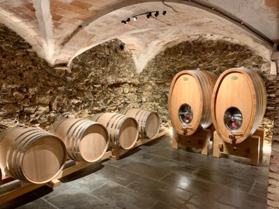 Josep Grau Carenes Blanc 2022 Priorat