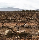 Vinos en Voz Baja Rioja Blanco Costumbres 2022