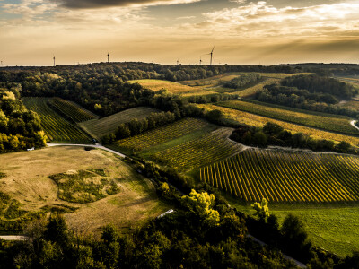 Gerhard Markowitsch Chardonnay Ried Schüttenberg 2022