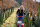 Barbara Öhlzelt Riesling Ried Kogelberg 2023