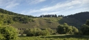 Clemens Busch Riesling Marienburg ROTHENPFAD Grosses...