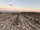 Carlos Mazo Vinos en Voz Baja Rioja Tinto Barrio Pastores...