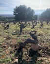 Carlos Mazo Vinos en Voz Baja Rioja Tinto Costumbres 2022