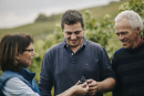 David Spies Davids Goliath 2022 Rotweincuvee