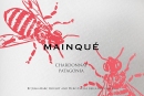 Bodega Chacra Chardonnay Mainque 2022
