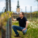 Hannes Reithmaier Grüner Veltliner Ried Spiegel 2025