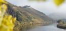 Clemens Busch Riesling vom grauen Schiefer 2024 Ortswein