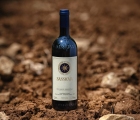 Tenuta San Guido Sassicaia 2023