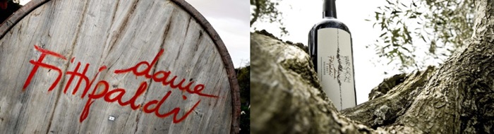 Donne Fittipaldi Bolgheri Rosso Super Tuscan zwischen Ornellaia und Sassicaia
