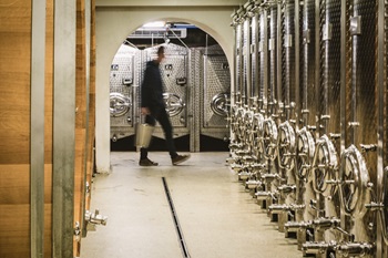 Weinkeller vom Weingut Kirchknopf Leithaberg
