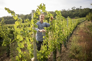 Michael Kirchknopf im Weinberg Leithaberg