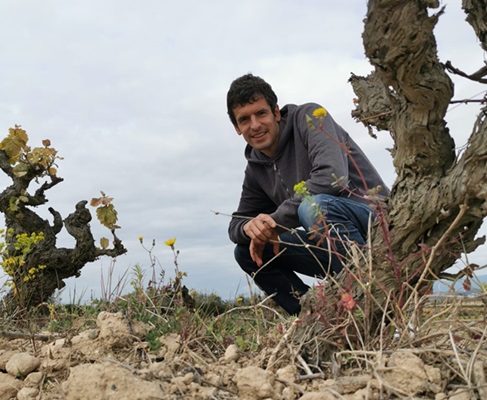 Joan Planas Cava Planas Albareda alte Reben